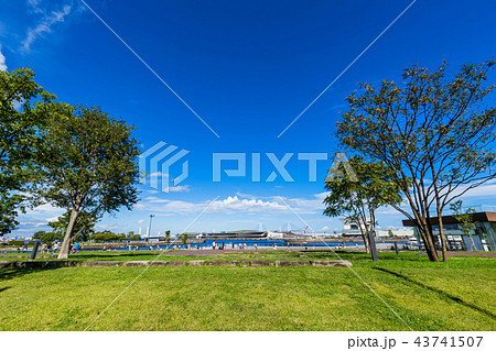 横浜 象の鼻パーク 開港の丘の風景 43741507