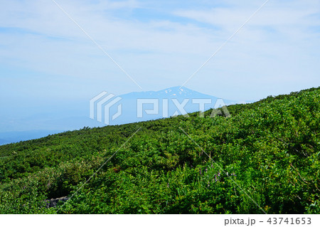 月山弥陀ヶ原　東北　山形県 43741653