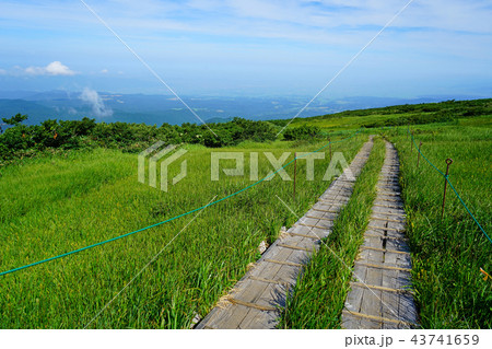 月山弥陀ヶ原　東北　山形県 43741659