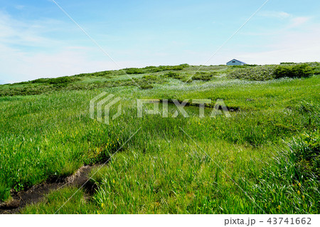 月山弥陀ヶ原　東北　山形県 43741662