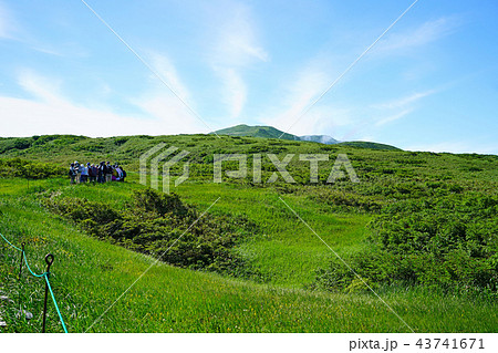 月山弥陀ヶ原　東北　山形県 43741671