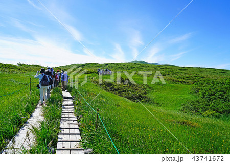 月山弥陀ヶ原 東北 山形県 月山弥陀ヶ原 東北 山形県 43741672