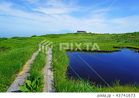 月山弥陀ヶ原 東北 山形県 月山弥陀ヶ原 東北 山形県 43741673