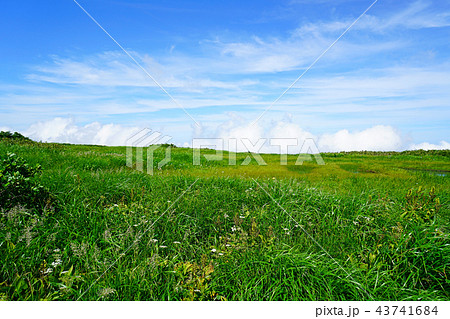 月山弥陀ヶ原 東北 山形県 月山弥陀ヶ原 東北 山形県 43741684