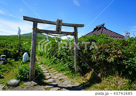 月山弥陀ヶ原 東北 山形県 月山弥陀ヶ原 東北 山形県 43741685