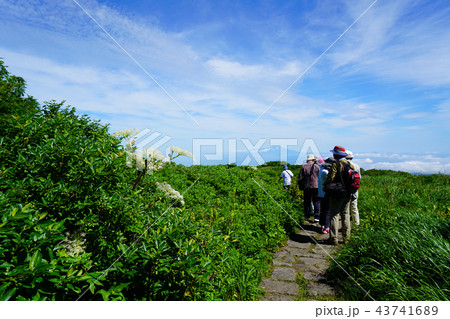 月山弥陀ヶ原 東北 山形県 月山弥陀ヶ原 東北 山形県 43741689