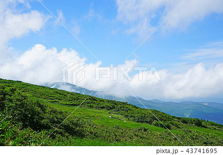 月山弥陀ヶ原 東北 山形県の写真素材