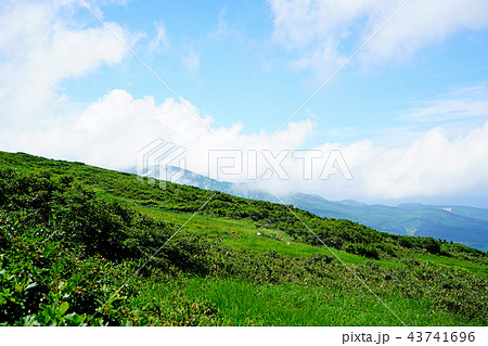 月山弥陀ヶ原 東北 山形県の写真素材