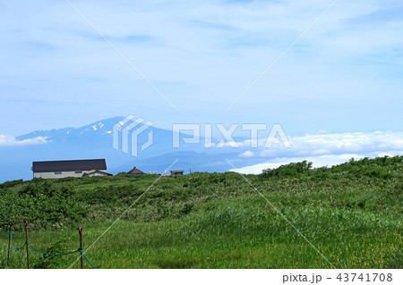 月山弥陀ヶ原 東北 山形県 月山弥陀ヶ原 東北 山形県 43741708