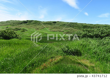 月山弥陀ヶ原 東北 山形県 月山弥陀ヶ原 東北 山形県 43741712