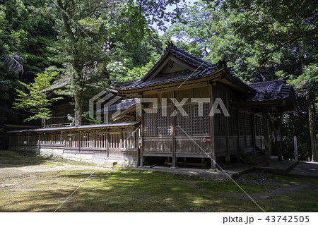 津山大隅神社 津山大隅神社 43742505