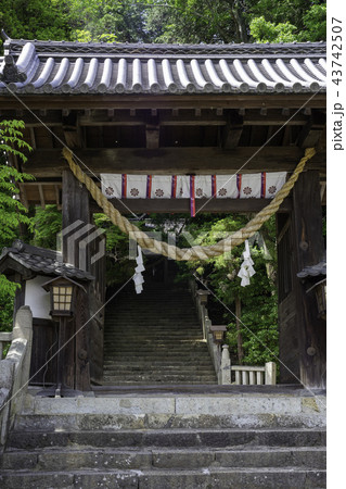 津山大隅神社 43742507