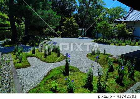 廬山寺 廬山寺 43742583