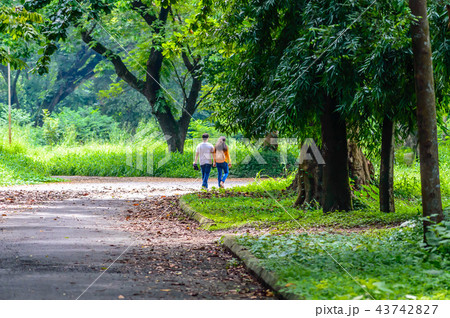 Happy married Cute couple walking in the park 43742827