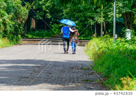 Cute couple walking in the park 43742830