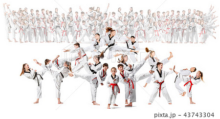 The collage about group of kids training karate martial arts 43743304