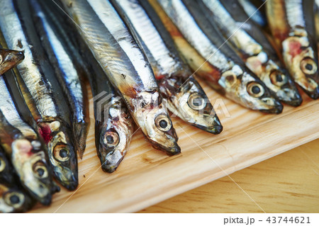 新鮮なきびなご 43744621