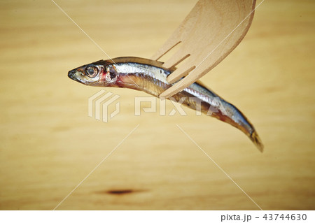 フォークに刺さった小魚 フォークに刺さった小魚 43744630