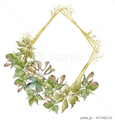 Green maple leaves. Leaf plant botanical garden floral foliage. Frame border ornament square. 43746213