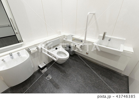 多機能トイレ（多目的・高機能トイレ）の内部 43746385