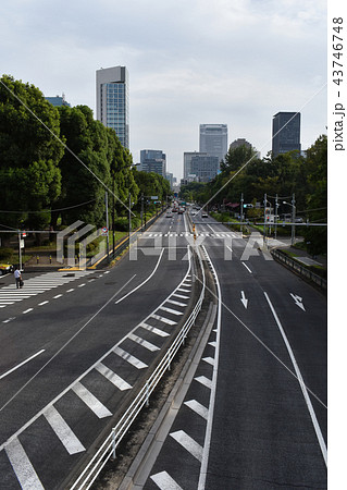 東京の道路 東京の道路 43746748