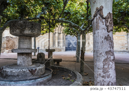 fountain San Pedro church. Olite. Navarre Spain 43747511
