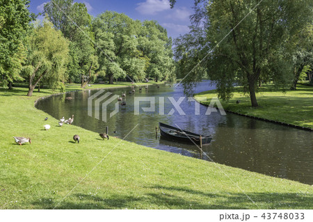 gardens in surroundings kampen netherlands holland 43748033