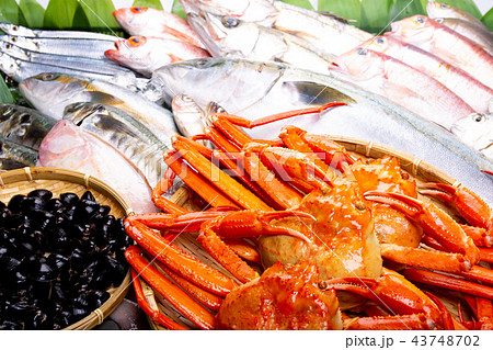 魚介類 盛り合わせ 魚介類 盛り合わせ 43748702