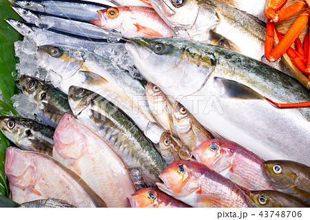 魚介類　盛り合わせ 43748706