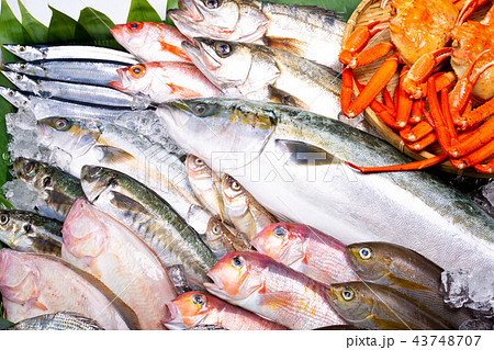 魚介類 盛り合わせ 魚介類 盛り合わせ 43748707