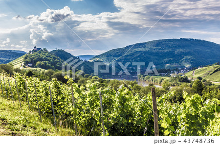 Marienburg on Prinzenkopf on the Mosel Germany Marienburg on Prinzenkopf on the Mosel Germany 43748736