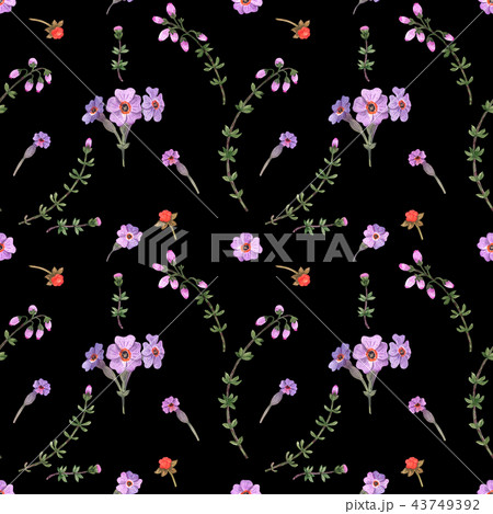 Watercolor wild plants of Scotland 43749392