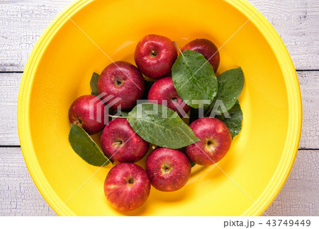 Wet red apples with leaves in washbowl Wet red apples with leaves in washbowl 43749449