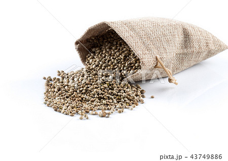 Cannabis Hemp seeds in sack on white 43749886