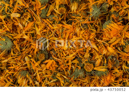 Calendula flowewr tea Calendula flowewr tea 43750052