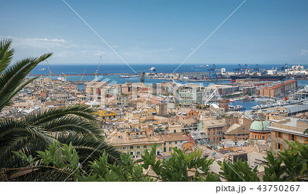Genoa and its harbor as a postcard 43750267