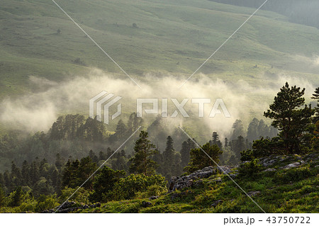 Foggy mountain landscape 43750722