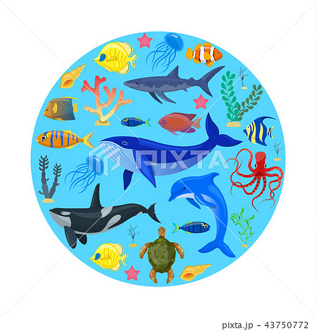 Ocean animals on blue background. Ocean animals on blue background. 43750772