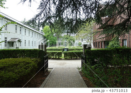 旧松本高等学校　中庭　あがたの森公園　　松本市 43751013