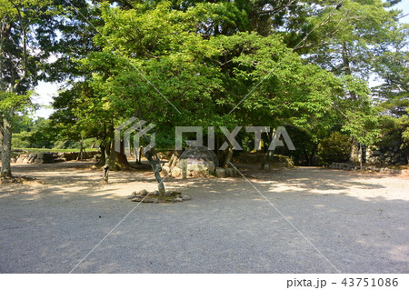 三重県にある「松坂城跡」 43751086