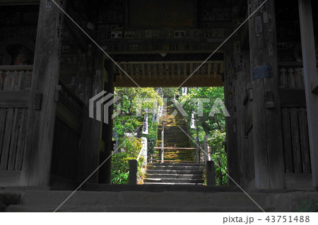 8月 鎌倉495杉本寺・苔の石段 8月 鎌倉495杉本寺・苔の石段 43751488