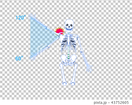 肩関節の痛み 43752605
