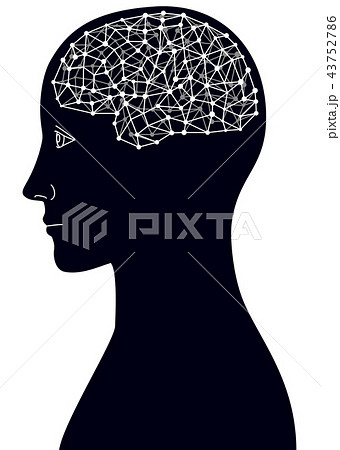 頭脳とネットワークイメージ 43752786