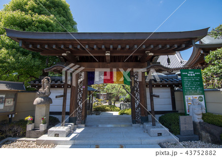 円福寺　布袋尊　さいたま市　 43752882