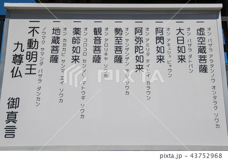 円福寺　不動明王　九尊仏　さいたま市　 43752968