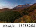 早朝の秋の大山　鍵掛峠 43753268