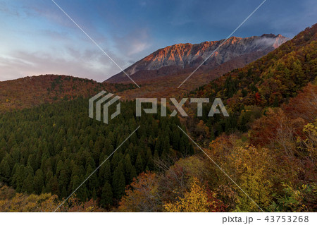 早朝の秋の大山　鍵掛峠 43753268