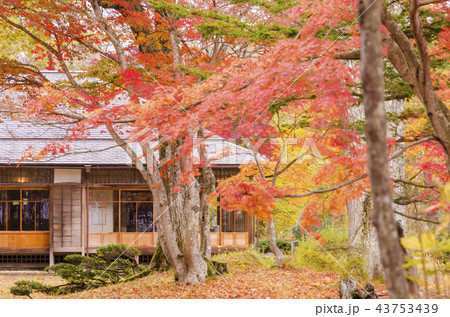 福島県迎賓館 福島県迎賓館 43753439