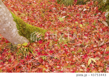 福島県迎賓館 43753443