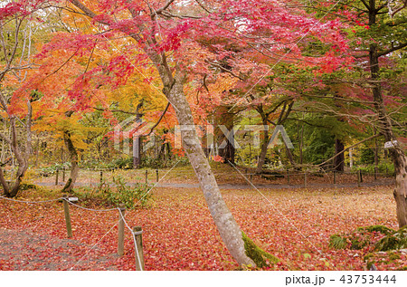 福島県迎賓館 43753444